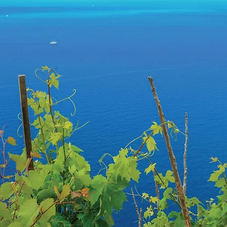 Apartment 1 Bedroom Awesome In Žuljana