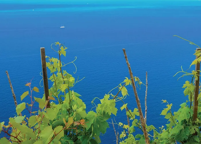 아파트 1 Bedroom Awesome In Žuljana